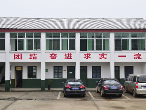 企業(yè)實力5