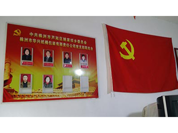 企業(yè)實力